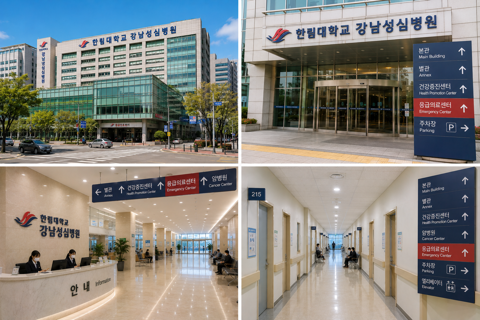 한림대학교 강남성심병원